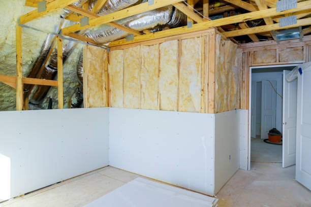 Best Residential Insulation in Mion, AR