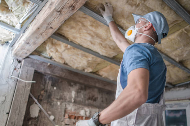 Best Types of Insulation in Mion, AR