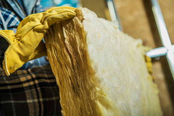Best Residential Insulation in Mion, AR